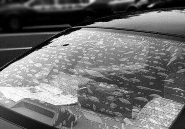 汽车玻璃贴膜起泡是什么原因