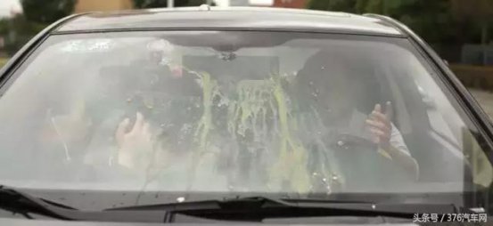 对于汽车的那些谣言，你中招了几个？