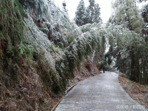 <b>冻雨到底是什么鬼？有些人没见过</b>