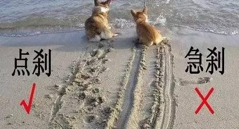 手动挡车型，在发生危险时到底该不该踩离合？老司机这么说！