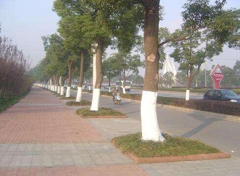 10个开车小技巧，不要没事就踩刹车