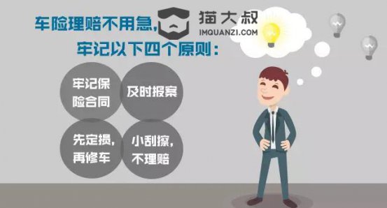 车险理赔太麻烦？猫大叔教你车险理赔秘籍！