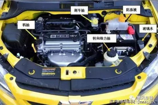 <b>如何检查汽车的“五油三水”？</b>