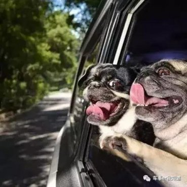 伤车的六种“省油”方法，看看你属于哪种？