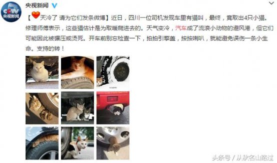 CCTV提醒：天冷了，启动车前不这样做，可能会酿悲剧！