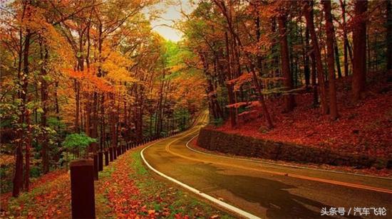 入秋汽车不保养	不注意分分钟报废