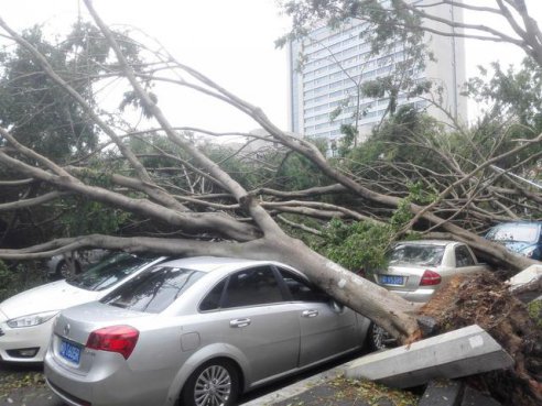 车损险和涉水险的区别在哪？