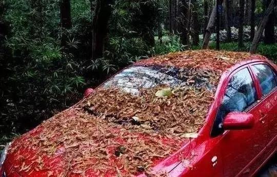 <b>开了这么多年车，车身竟有这么多不起眼的小孔？</b>