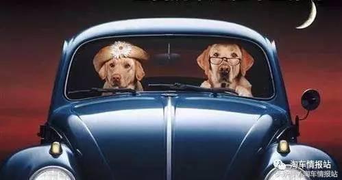 汽车省油的骗局大揭秘，看完你会疯！